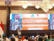 Pemadaman Listrik Dihentikan, Dasco: Sudah Koordinasi dengan ESDM dan PLN