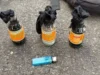 Pembawa Bom Molotov di Demo Mahasiswa Ditangkap