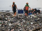 Pembersihan Sampah di Muara Angke Tak Berarti Tanpa Hentikan Sumber