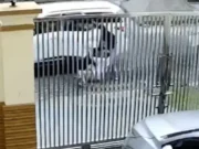 Penculikan Lansia di PIK, Motifnya Cinta yang Ditolak