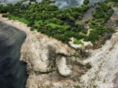 Pulau Sampah di Muara Angke, Kiriman dari Hulu