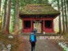 Rekor Terjebak di Gunung Jepang, Wisatawan Asing Paling Rentan