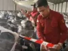Ribuan Motor Listrik BGN Dihibahkan ke Guru Honorer