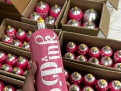 Selebgram Lumpuh Sementara Usai Hirup Gas “Whip Pink”