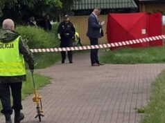 Seniman Kritikus Putin Tewas Ditembak di Polandia
