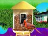 Smart Bird Feeder Terbaik yang Benar-Benar Layak Dibeli