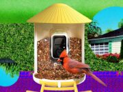 Smart Bird Feeder Terbaik yang Benar-Benar Layak Dibeli