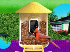 Smart Bird Feeder Terbaik yang Benar-Benar Layak Dibeli