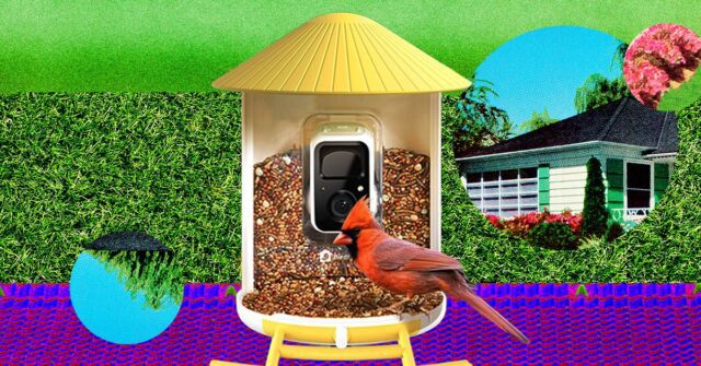 Smart-Bird-Feeder-Terbaik-yang-Benar-Benar-Layak-Dibeli