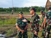 TNI Kelola 25 Juta Hektare Lahan untuk Ketahanan Pangan