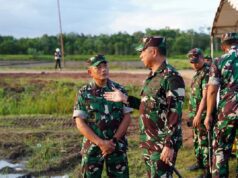 TNI Kelola 25 Juta Hektare Lahan untuk Ketahanan Pangan