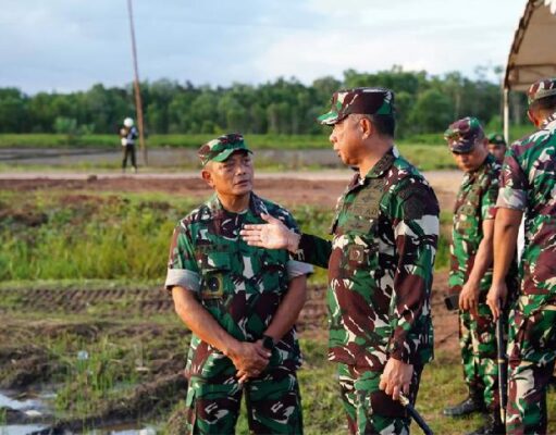 TNI Kelola 25 Juta Hektare Lahan untuk Ketahanan Pangan