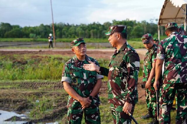 TNI-Kelola-25-Juta-Hektare-Lahan-untuk-Ketahanan-Pangan