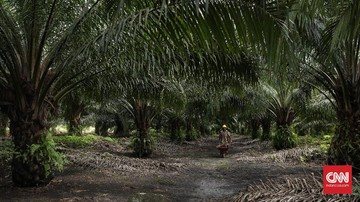Tewas-dalam-Bentrok-Sawit-di-Ogan-Komering-Ilir
