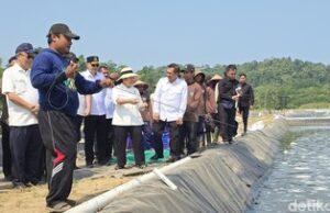 Titiek Tinjau Budidaya Udang Napi di Nusakambangan