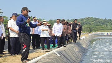 Titiek Tinjau Budidaya Udang Napi di Nusakambangan