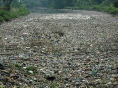 Walhi Tolak PLTSa: Solusi Sampah atau Perpanjangan Krisis?