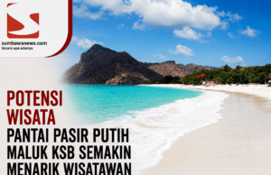 Pokdarwis Saling Gayong Siap Data UMKM dan Potensi Wisata Desa Pasir Putih, Lapak Liar hingga Ternak Berkeliaran Jadi Perhatian