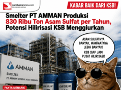 Smelter PT AMMAN Produksi 830 Ribu Ton Asam Sulfat per Tahun, Potensi Hilirisasi KSB Menggiurkan