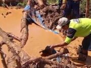 Banyuwangi Tindak Tambang Emas Ilegal yang Rusak Lahan Pertanian
