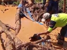 Banyuwangi Tindak Tambang Emas Ilegal yang Rusak Lahan Pertanian