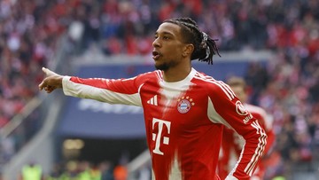 Bayern Munich Tegaskan Olise Tak Akan Dijual ke Real Madrid