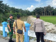 Deli Serdang Mulai Akselerasi Pemulihan Lewat TKD Tambahan