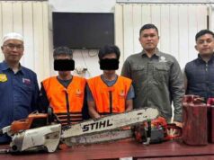 Dua Tersangka Ditetapkan dalam Kasus Pembalakan Liar di HPT Sirih Sirih