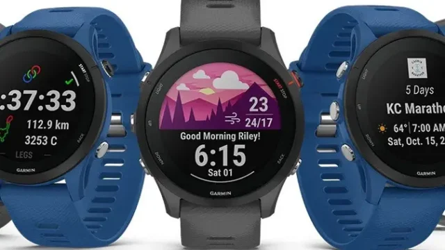 Garmin-Raksasa-Teknologi-Olahraga-yang-Lahir-dari-Nama-Dua-Pendiri