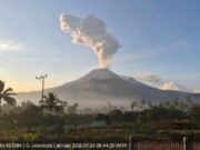 Gunung Lewotobi Laki-Laki Erupsi, Abu Vulkanik Mencapai 1.600 Meter
