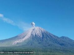 Gunung Semeru Erupsi, Luncurkan Abu Vulkanik Hingga 1.100 Meter