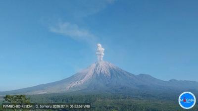 Gunung Semeru Erupsi Pagi Ini, Luncurkan Abu Hingga 1.200 Meter