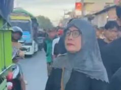 Viral! Aksi Kepala Desa Perempuan Turun Langsung Atasi Kemacetan Tuai Pujian Warga
