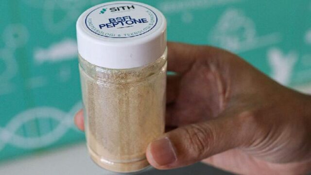Inovasi-ITB-Ubah-Maggot-Jadi-Pepton-Pengganti-Impor