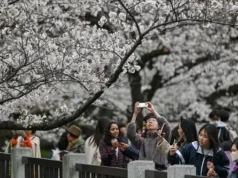Jepang Naikkan Pajak Turis Asing Tiga Kali Lipat, Visa Juga Melonjak