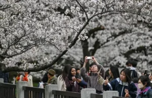 Jepang Naikkan Pajak Turis Asing Tiga Kali Lipat, Visa Juga Melonjak