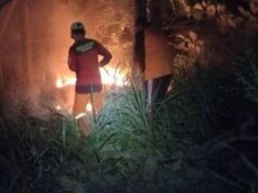 Karhutla di Jawa Hanguskan 11,4 Hektare Lahan, BNPB Konfirmasi Empat Titik Api