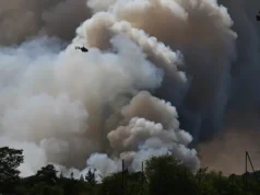 Kebakaran Hutan Prancis Ciptakan Awan Badai, Petir Picu Api Baru
