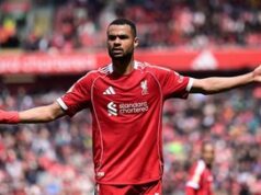 Liverpool Pertimbangkan Jual Gakpo Jika Tawaran Masuk Menggiurkan