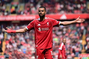 Liverpool Tetap Pertahankan Cody Gakpo di Tengah Minat Tottenham