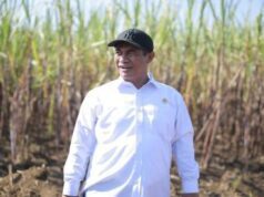 Mentan Janji Swasembada Gula dalam Dua Tahun Melalui Peremajaan Tebu