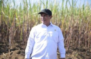 Mentan Janji Swasembada Gula dalam Dua Tahun Melalui Peremajaan Tebu