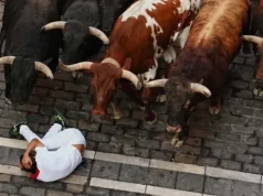 Momen Kacau di Lari Banteng Festival San Fermín 2026