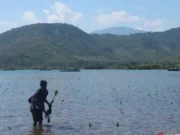 NTB Siapkan BUMD Khusus Kelola Perdagangan Karbon
