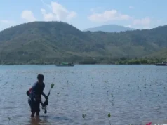 NTB Siapkan BUMD Khusus Kelola Perdagangan Karbon