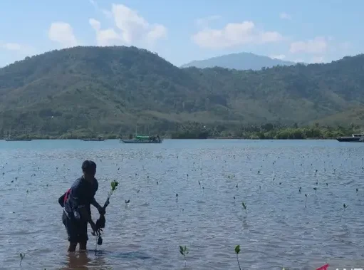 NTB Siapkan BUMD Khusus Kelola Perdagangan Karbon