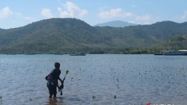 NTB-Siapkan-BUMD-Khusus-Kelola-Perdagangan-Karbon