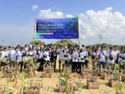 PNM Tanam 22.000 Mangrove di 18 Titik Pesisir Indonesia