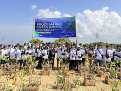 PNM Tanam 22.000 Mangrove di 18 Titik Pesisir Indonesia