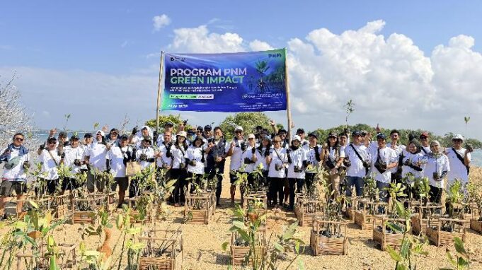 PNM Tanam 22.000 Mangrove di 18 Titik Pesisir Indonesia